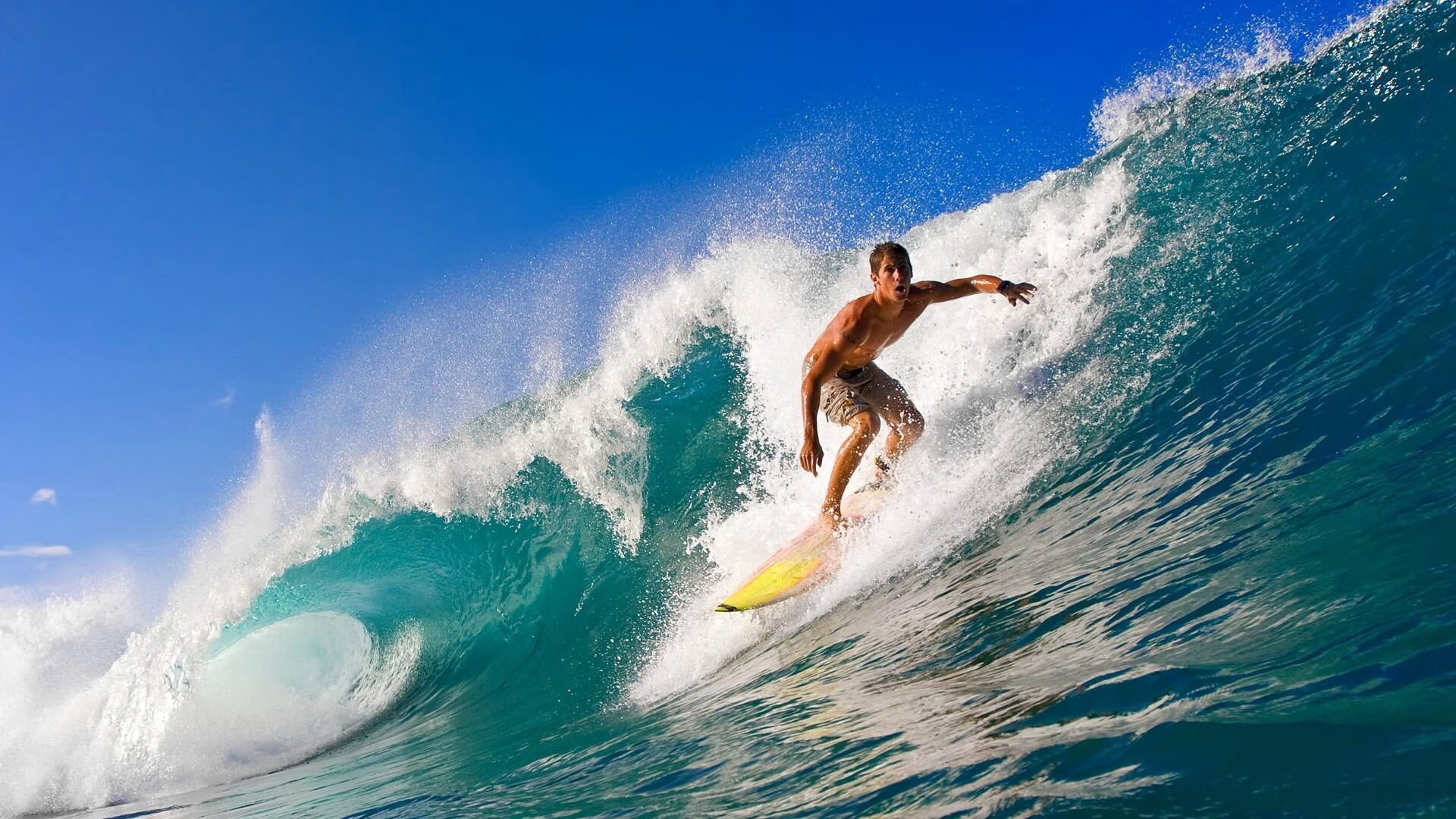 《精彩战队转会：多支顶级队伍阵容调整》，精彩来袭是什么意思